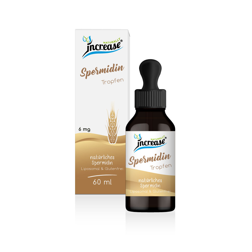 Nimm 3, zahl 2 Aktion Increase Liposomale Spermidin Tropfen - 3x60ml - 200mg Spermidin pro 2 ml - 6mg Spermidin pro Tropfen - 18.000mg Spermidin in 3 Flaschen - Keto MCT Öl C8 & C10 - Neutral – Bild 2