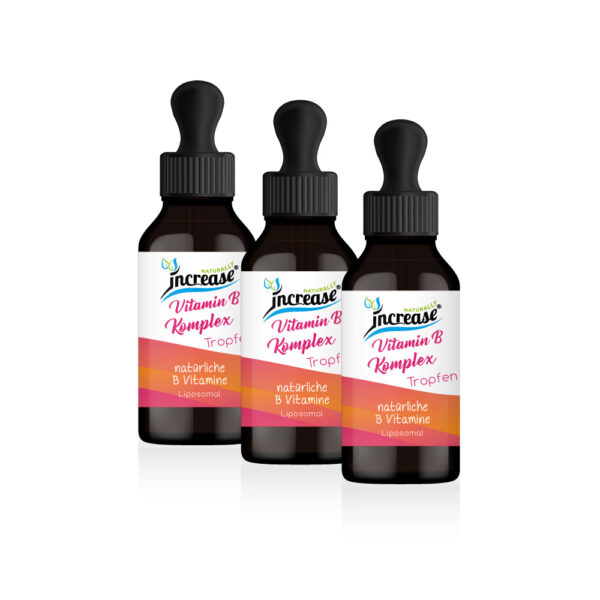 Nimm 3, zahl 2 Aktion Liposomale Vitamin B Komplex Tropfen hochdosiert - 6900mg Vitamin B Komplex pro Tag (20.700mg in 3 Flaschen) - mit Vitamin B1, B2, B3, B5, B6, B7, B9 und B12