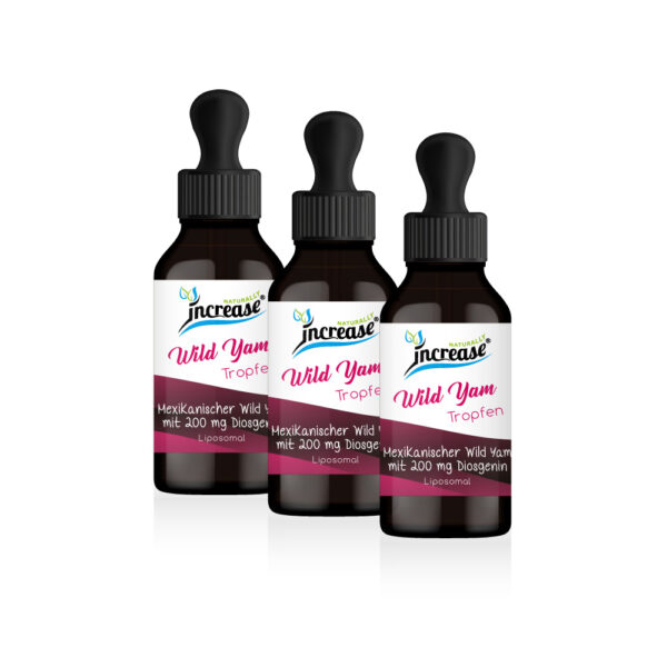 Nimm 3, zahl 2 Aktion Liposomale Wild Yam Tropfen hochdosiert - 2000mg Wild Yam pro Tag (180.000mg in 3 Flaschen) - Mexikanischer - Keto MCT Öl C8 & C10